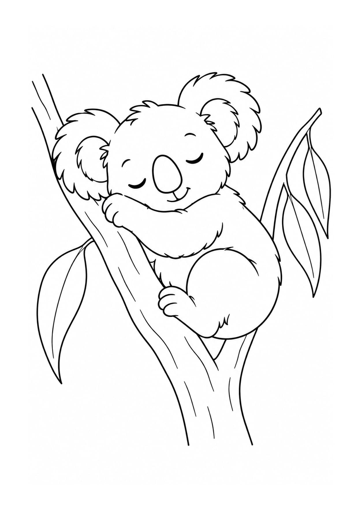 Easy koala coloring page of sleeping koala on a branch